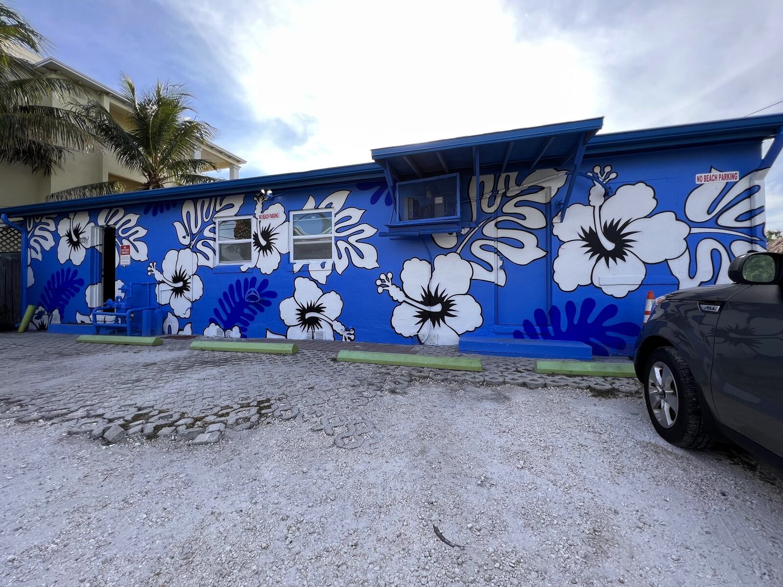 Mural by Paul Vitale