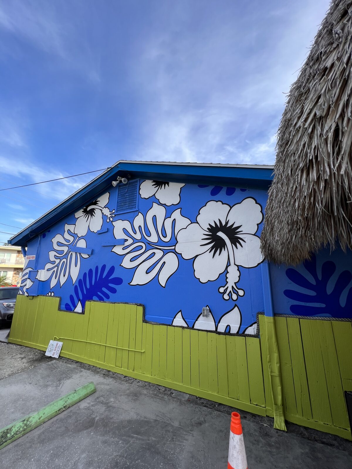 Mural by Paul Vitale